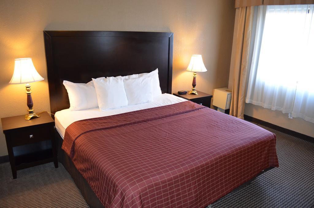 Comfort Inn Downtown Detroit Eksteriør billede