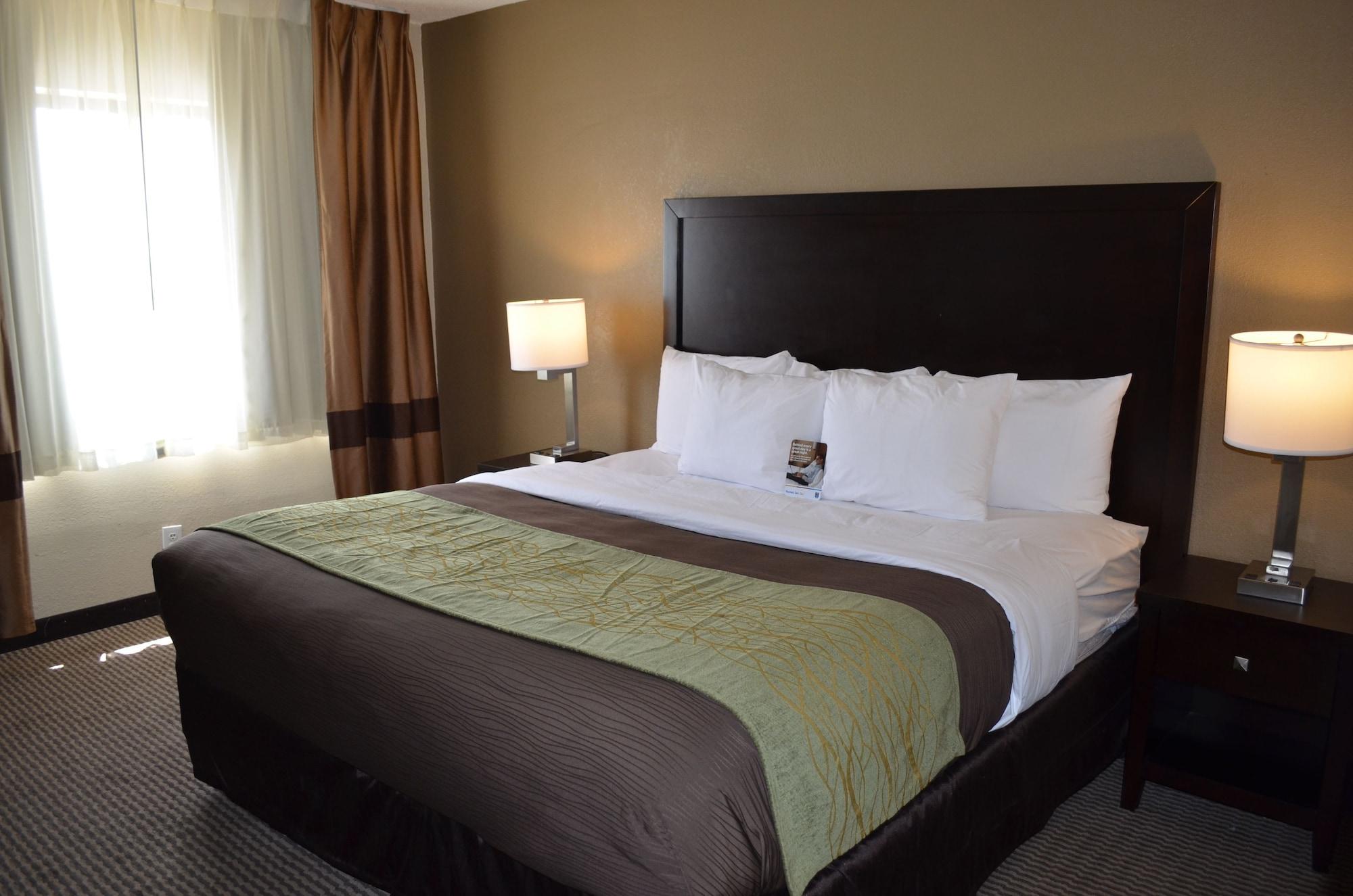 Comfort Inn Downtown Detroit Eksteriør billede