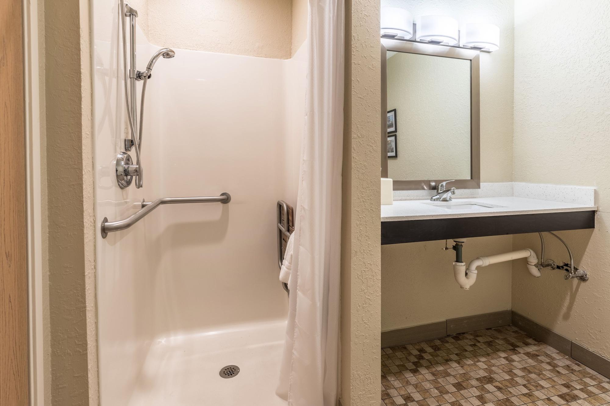 Comfort Inn Downtown Detroit Eksteriør billede