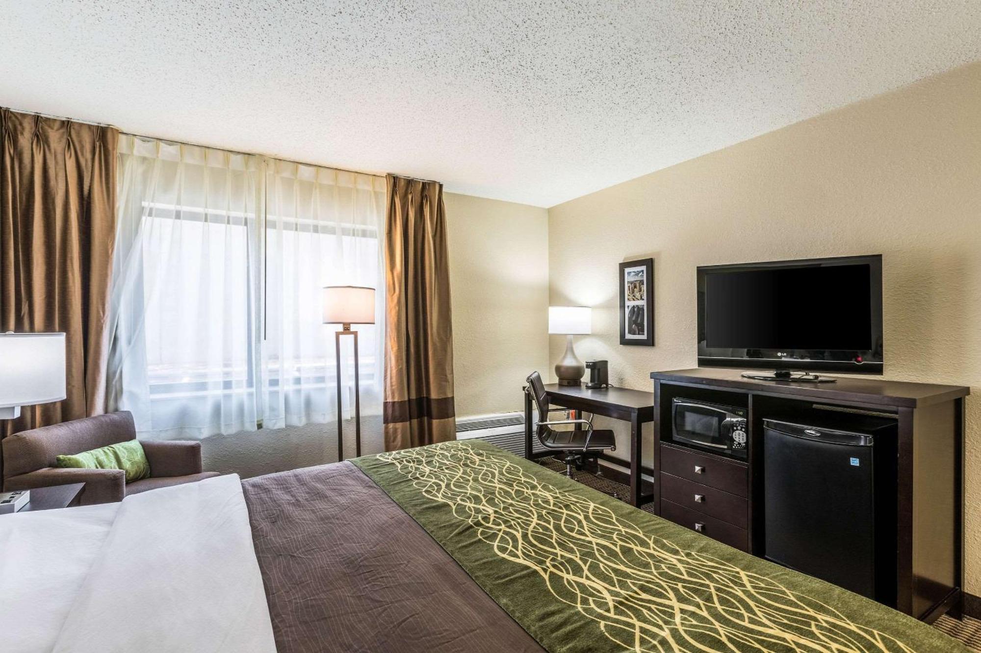 Comfort Inn Downtown Detroit Eksteriør billede