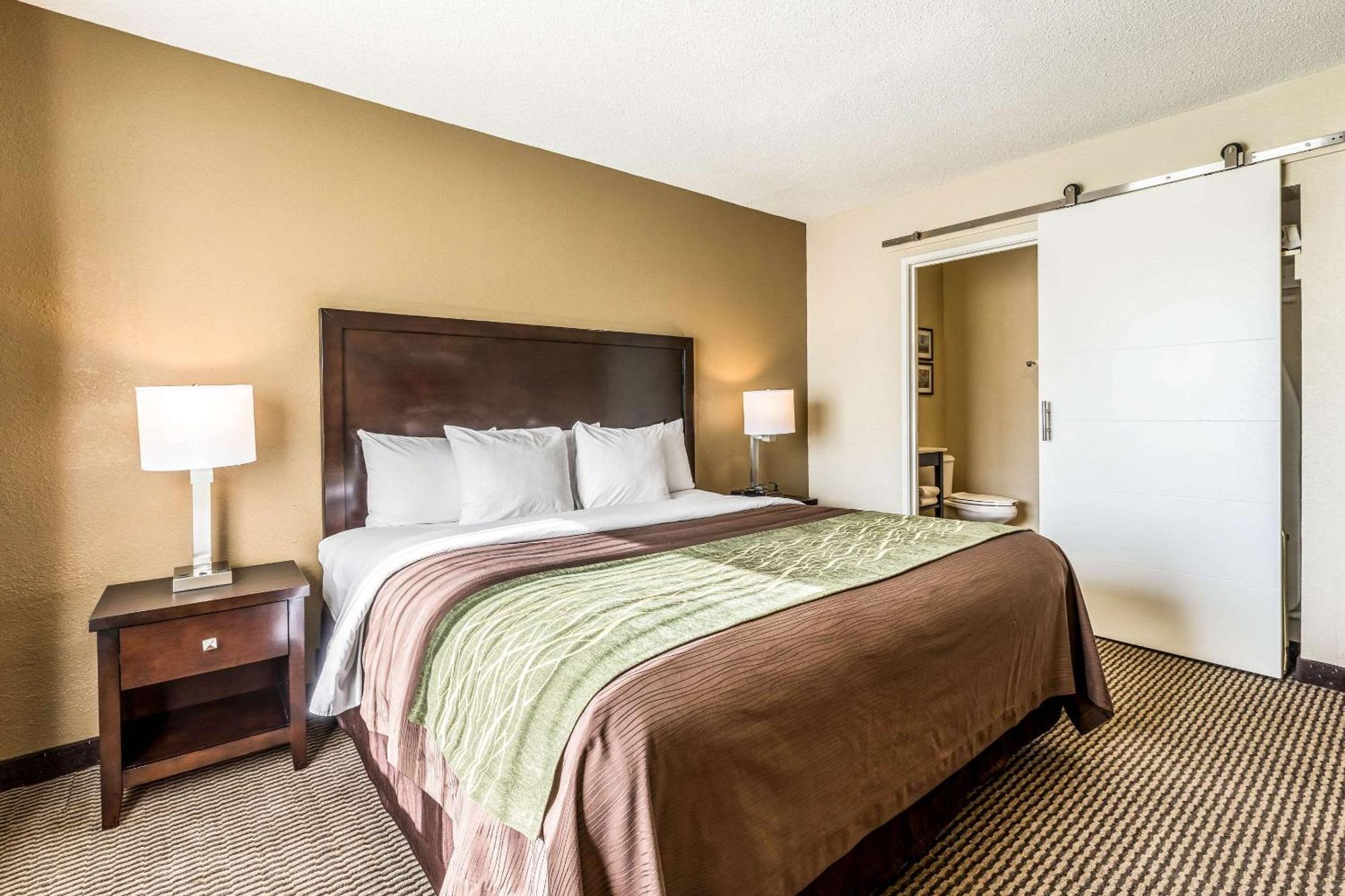 Comfort Inn Downtown Detroit Eksteriør billede
