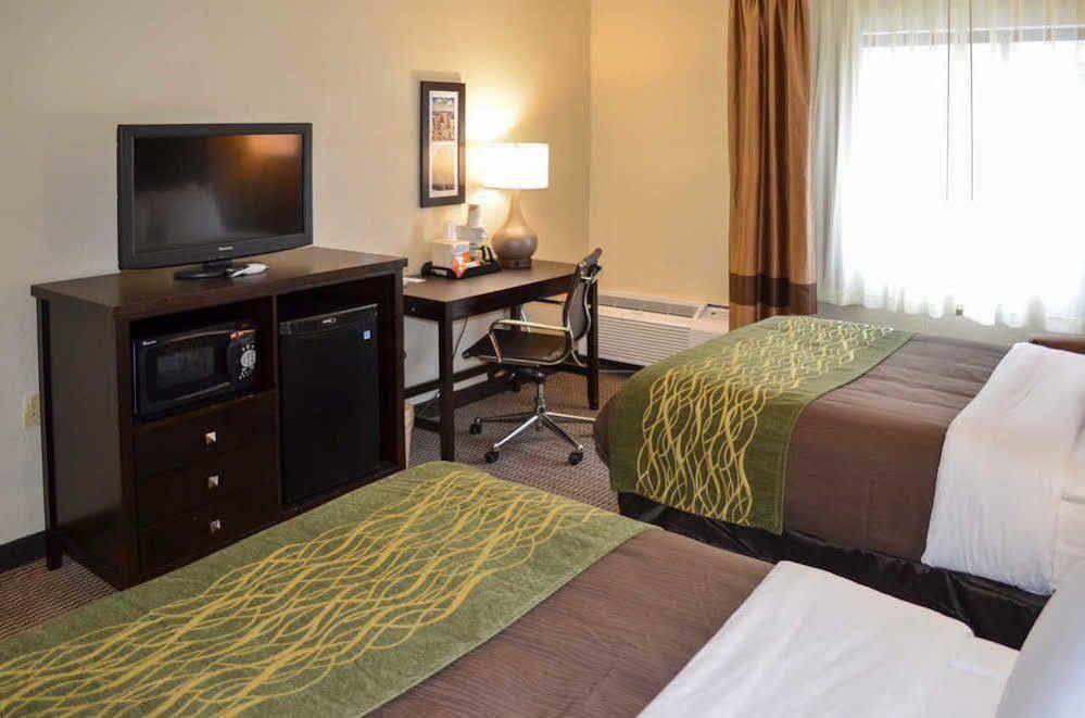Comfort Inn Downtown Detroit Eksteriør billede